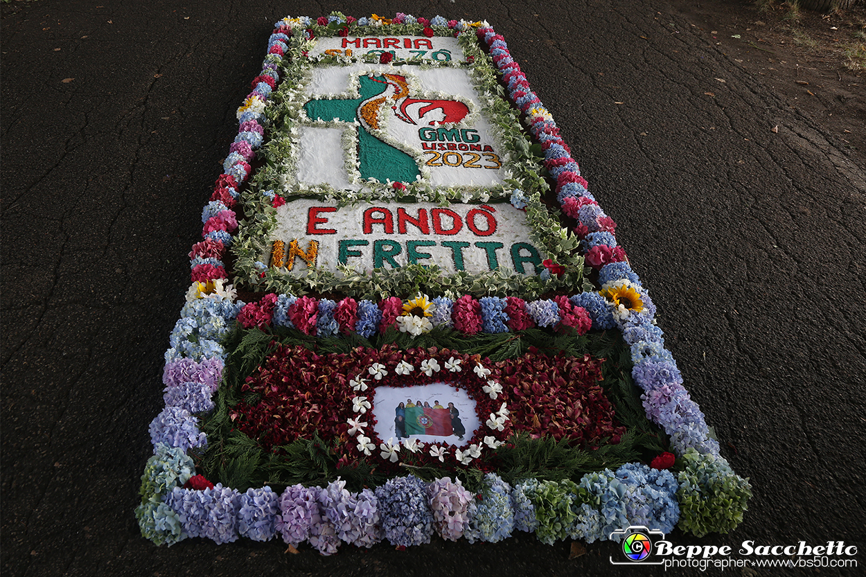 VBS_9723 - Infiorata di Villanova d'Asti 2023.jpg